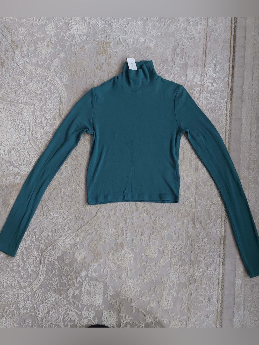 Aritzia Wilfred green ribbed mock neck long sleeve top